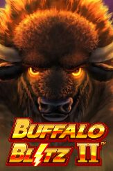 Buffalo Blitz 2