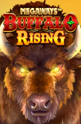 buffalo rising demo slot