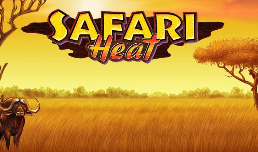 Safari Heat