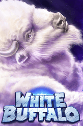 White Buffalo